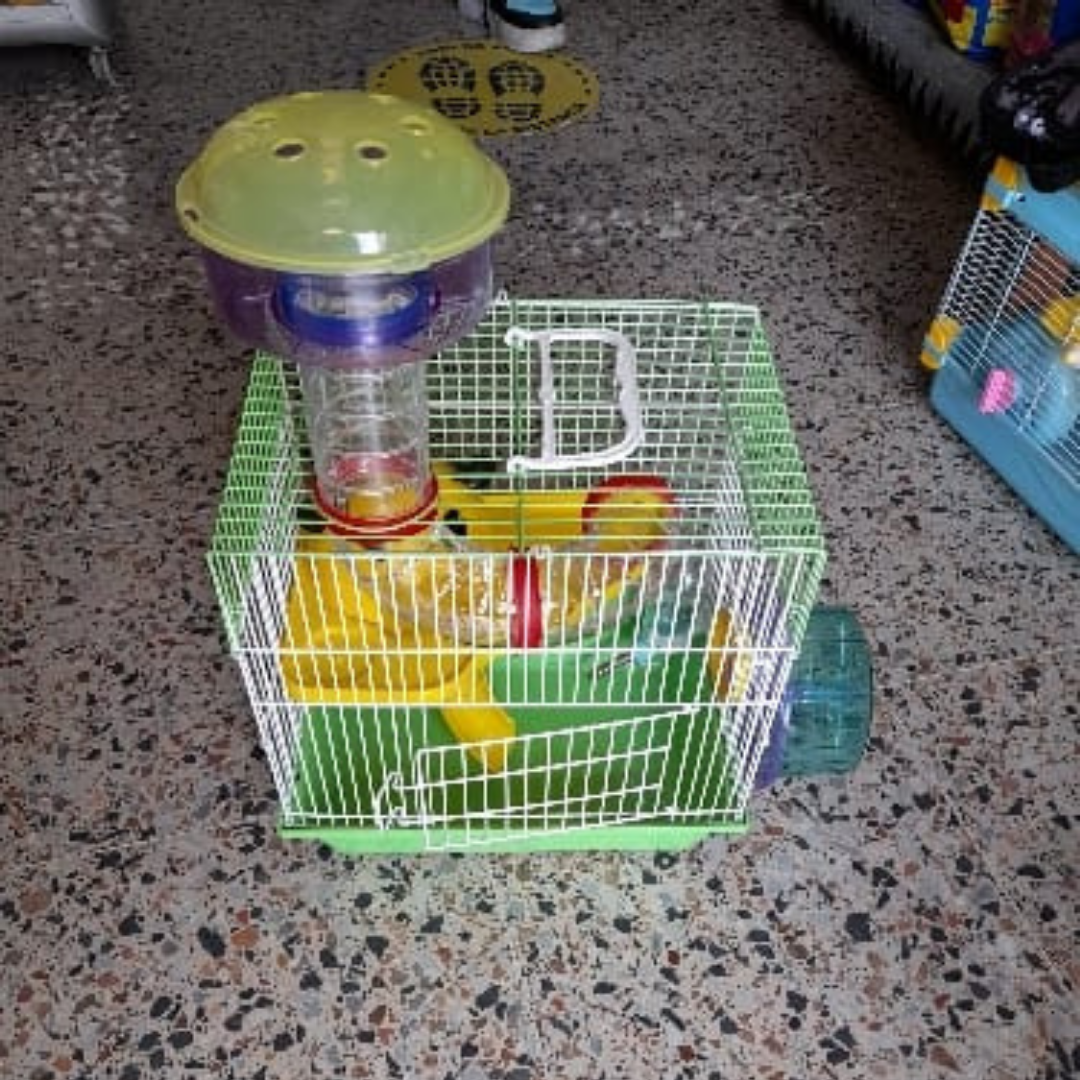 Producto 3